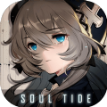 soul tide国际版 V6.40.2