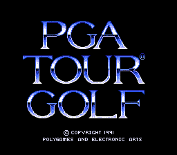 sfc游戏 PGA高尔夫公开赛(日)PGA Tour Golf (J)