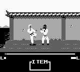 gb游戏 空手道[日]Master Karateka (Japan)