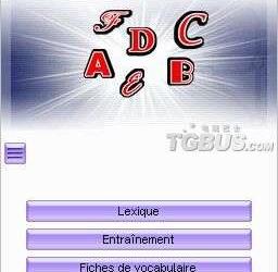 nds游戏 4038 - 内森英语：实践方法