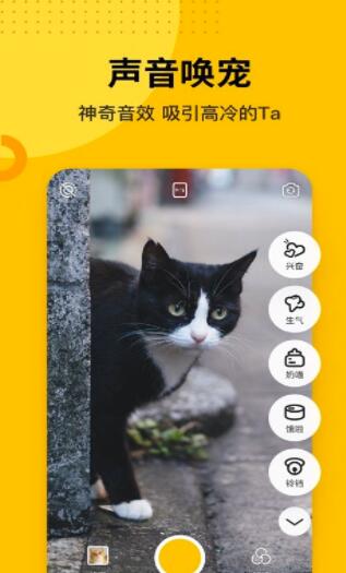 爪叽相机app