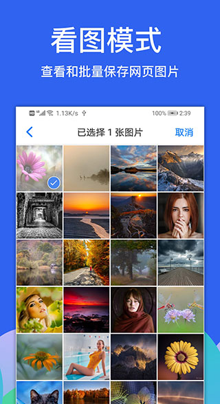 Alook浏览器安卓版本 v7.7