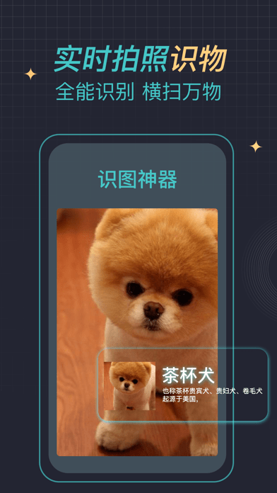 识图神器安卓版 v1.0