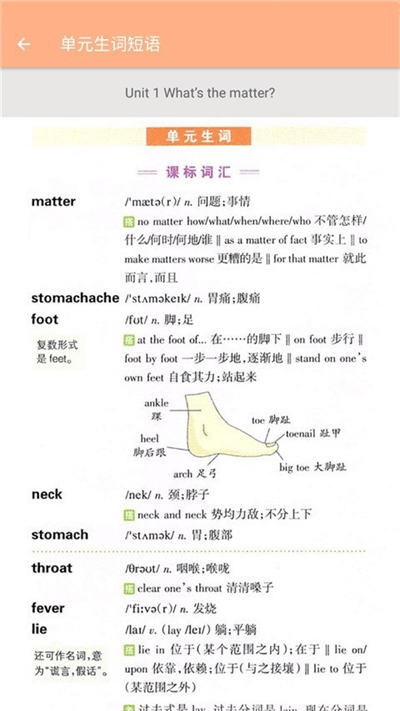 八年级下册英语辅导免费app